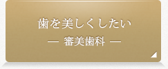 歯を美しくしたい 審美歯科