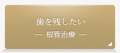 歯を残したい 根幹治療